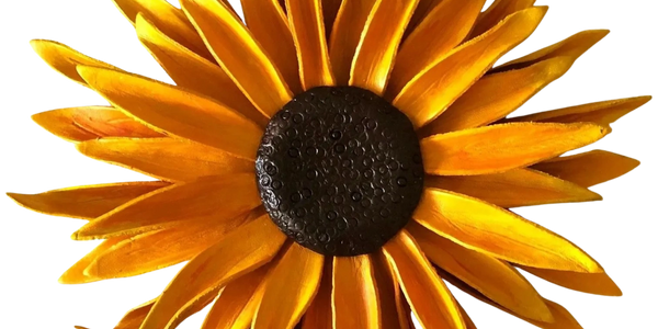 Bright yellow sunflower with textured dark center.