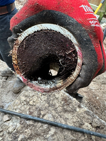 Roots in the sewer line. Sewer blockage solutions.