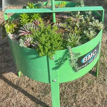 Vintage succulent planter. Hardy succulent planting container ideas. Winter hardy succulents. Sedum.