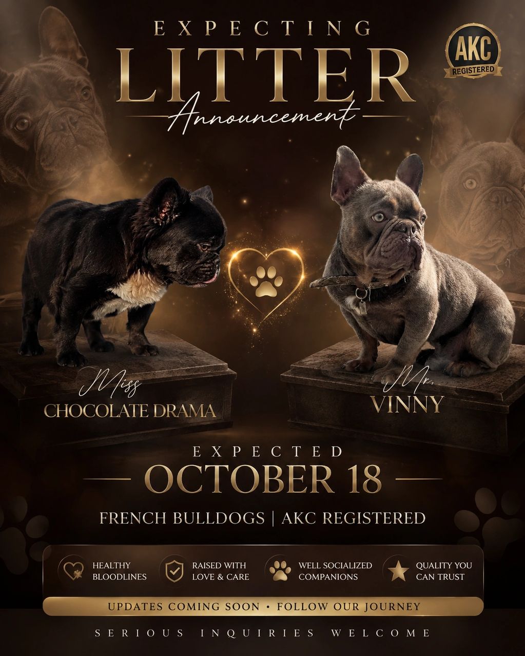 Announcement of French Bulldog litter expected October 18.