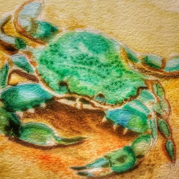 Blue crab