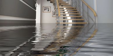 MD Restoration Orem WATER DAMAGE FLOODED BASEMENT picture 