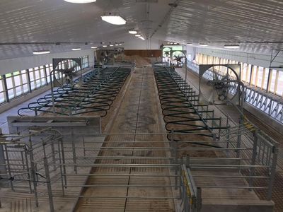 Finished free-stall barn with fans, flexible stalls, and gating.