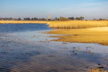 Cove Hithe reed bed, reflective sky and water, bright colours spring