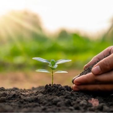Farmers planting