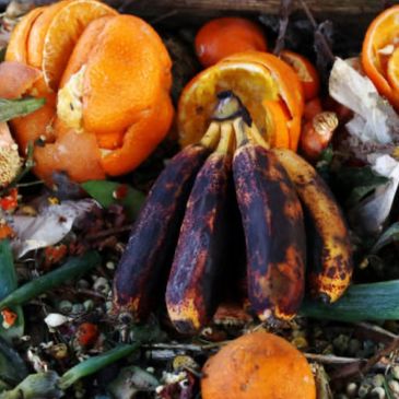 Food waste