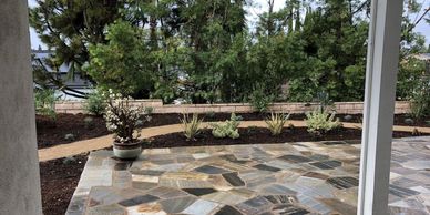 New sod, tree and plant installation for lawn enhancement