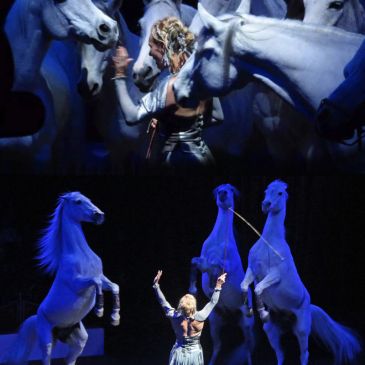 Asman & Associates Events
