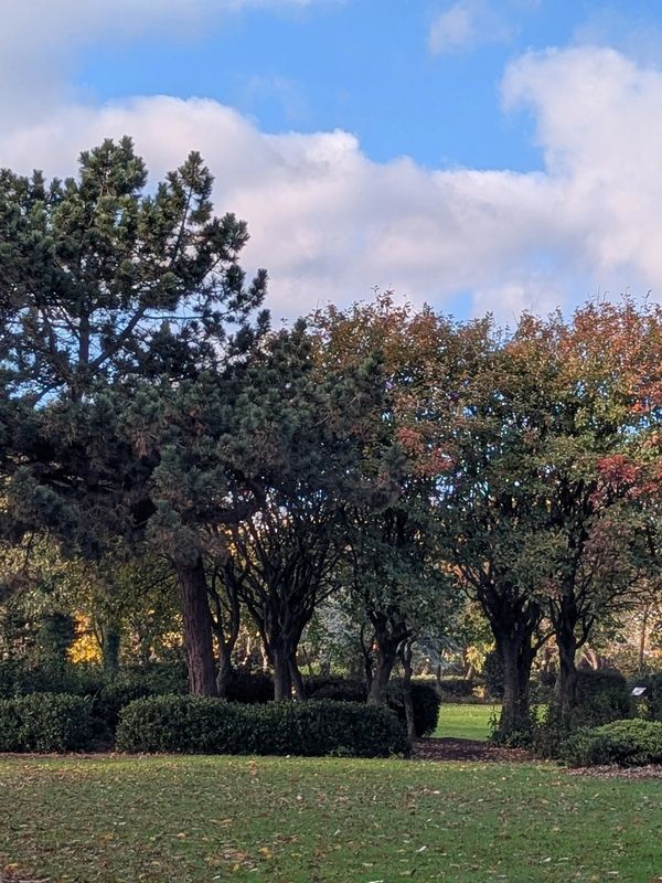 A serene park scene with trees, bushes, and a partly cloudy sky.