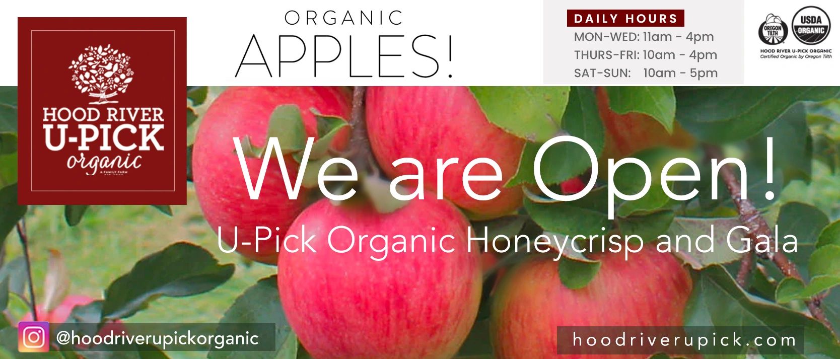 WE ARE OPEN for Organic Apple Picking in Hood River, Oregon! Organic Honeycrisp and Gala Apples! U-P