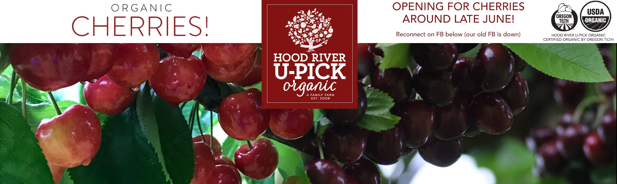 Hood River U-Pick Organic has organic u pick cherries and apples. Portland and Vancouver customers