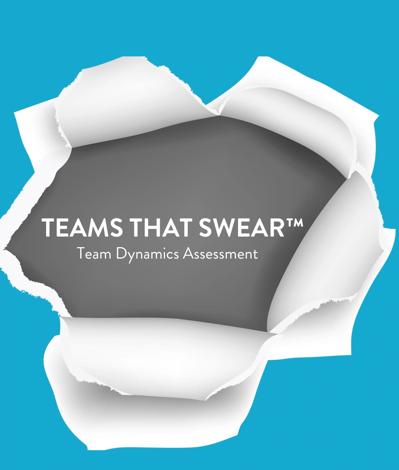 High performing team tips team assessment Adrian Baillargeon Teams that Swear 