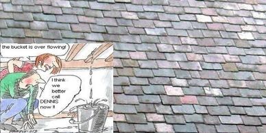 natural slate roof installations by D B roof contractor 