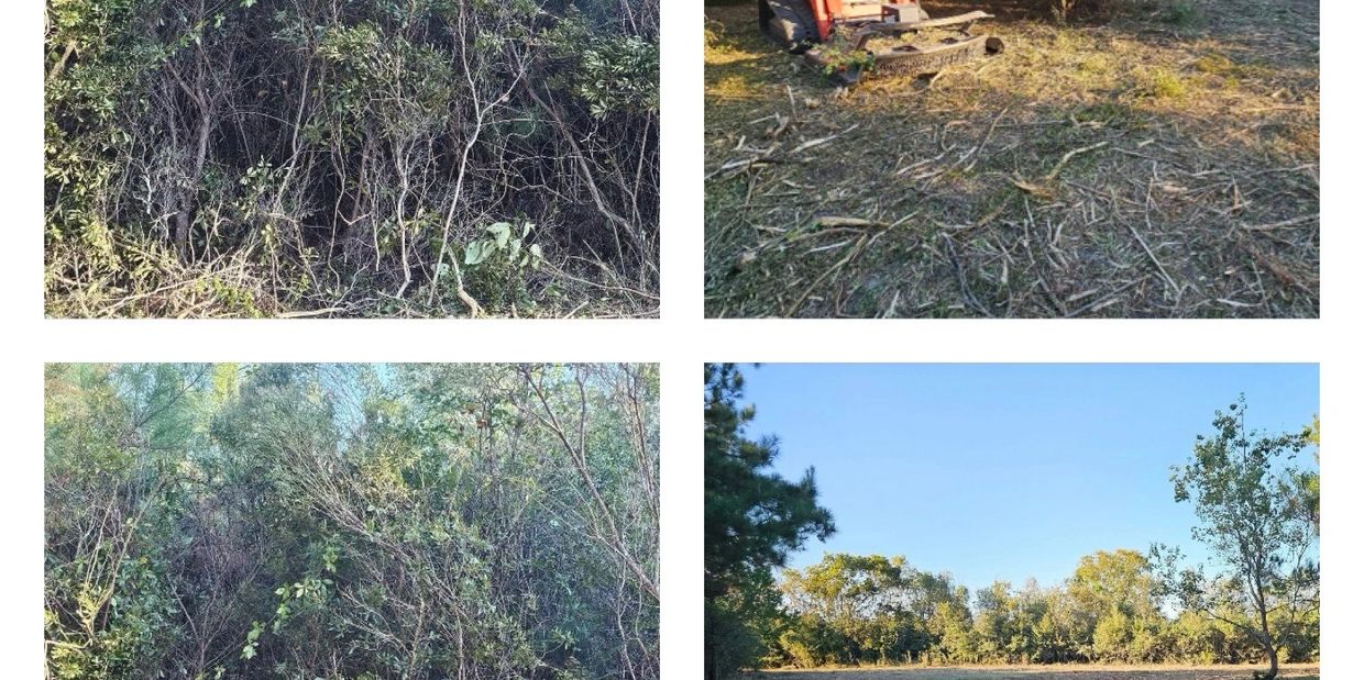 Forestry Services - Forestry Mulching - Underbrush Clearing - Land Clearing - Brush Hogging