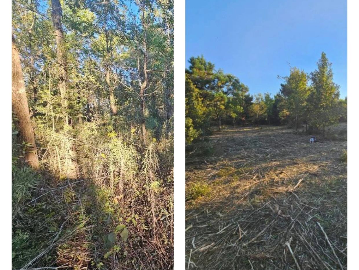 Lot Clearing - Land Clearing - Company - Lot Clearing Company - Lot Clearing Company Near Me