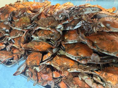 A pile of cooked crabs with orange shells and claws.