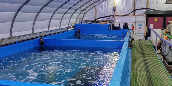 Indoor production tanks at RevolOcean’s land-based aquaculture facility in Scotland.