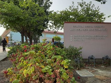 Antioch is where low-income families of color are concentrated in the Bay Area & at hi-risk of CPS.