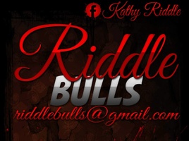 Riddle Bulls