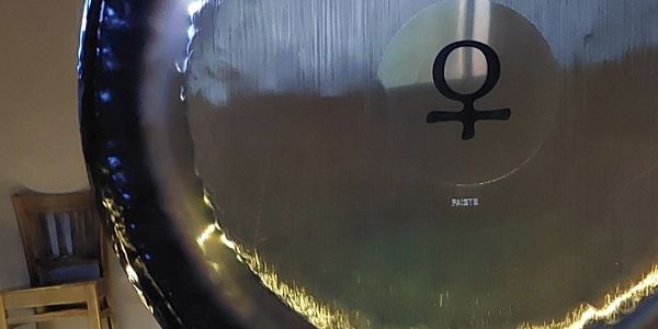 Venus Gong Gong Bath Shropshire Whitchurch