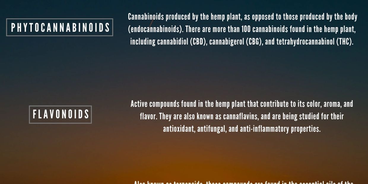 Why Hemp Works slide detailing phytocannabinoids, flavonoids, and terpenes found in CBD products.