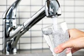 You don't want E. Coli Bacteria, Nitrates, Lead, Radon or Arsenic in you water.