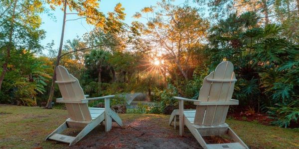 Two wooden chairs facing a sunset in a lush garden.