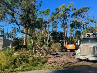 Residential Land clearing