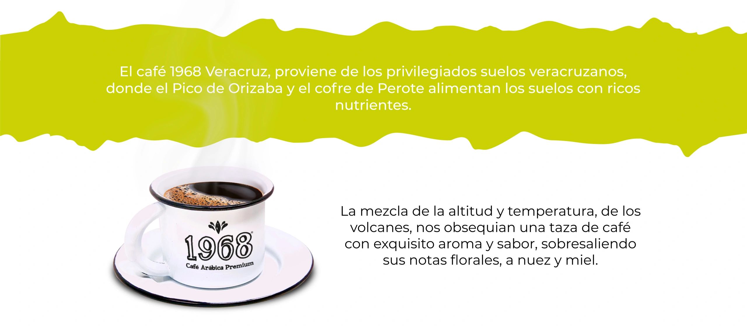 Café certificado Rainforest, Café de Veracruz, café de huatusco, taza aromática con buena acidez