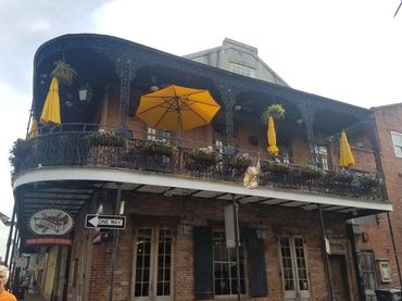 Enjoying the beautiful architecture in New Orleans
