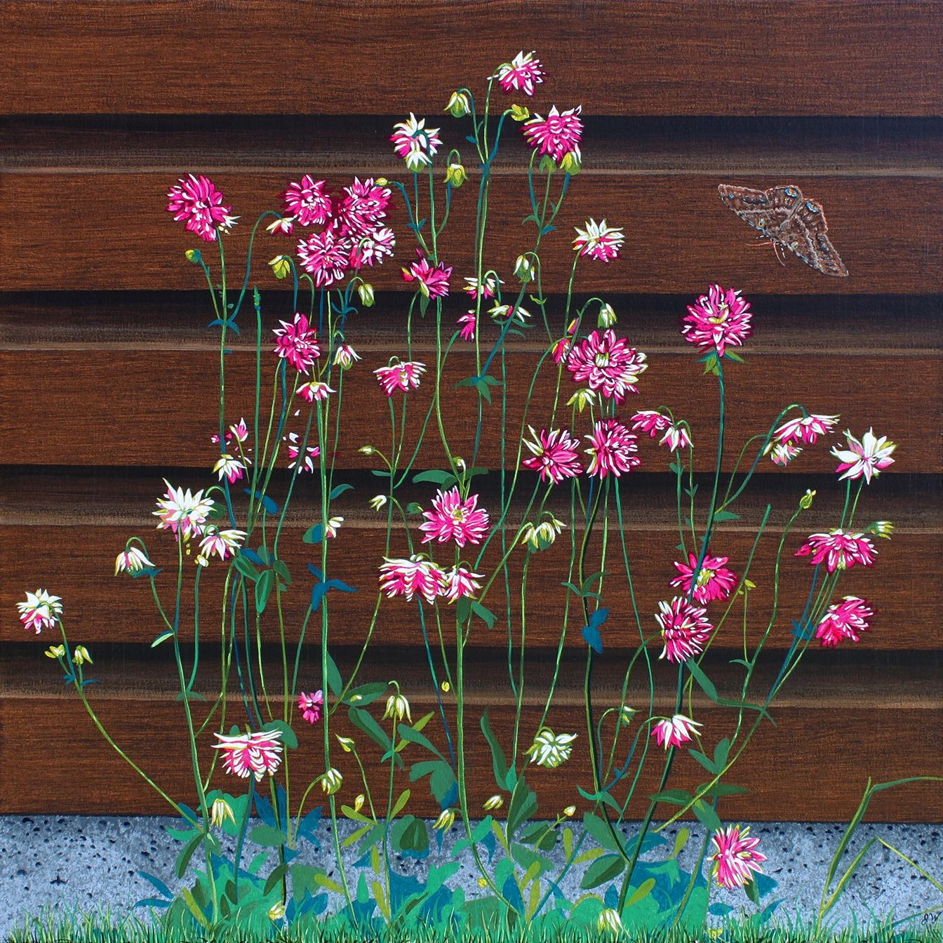 acrylic on canvas painting of columbines and a black witch moth by Santa Cruz artist Jim Winters