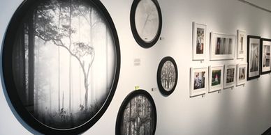 A photograph of David Monroe's art hanging in a gallery