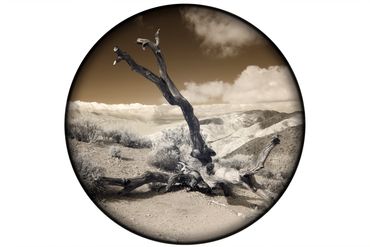 The image Authentic
on David Monroe's Portals of intent website Gallery and online store