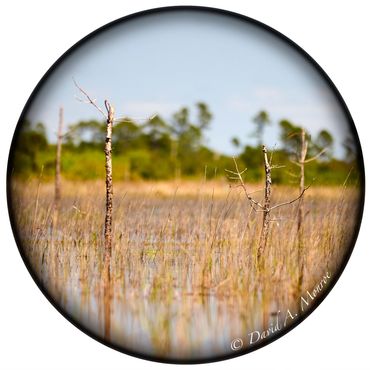 The image Dance on David Monroe's Portals of intent website Gallery and online store