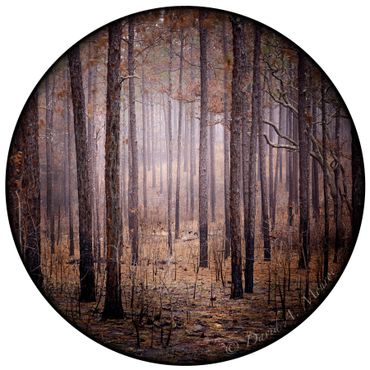 The image lured on David Monroe's Portals of intent website Gallery and online store