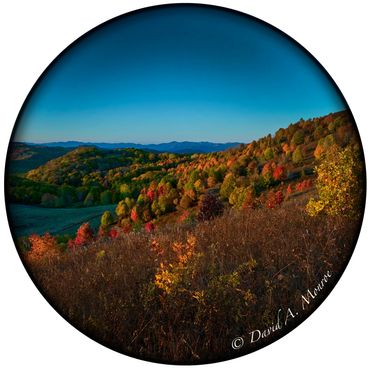 The image speculaiton on David Monroe's Portals of intent website Gallery and online store