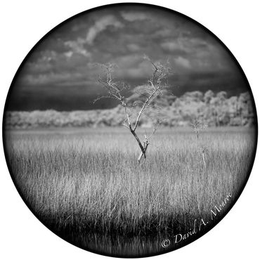 The image surveyor on David Monroe's Portals of intent website Gallery and online store