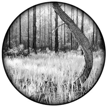 The image Conforming on David Monroe's Portals of intent website Gallery and online store