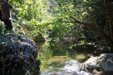Spring potisti Aninnata Kefalonia
