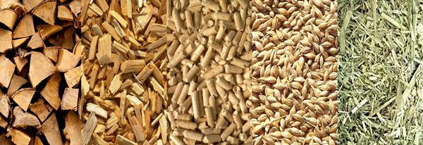 Biomass Fuel Types