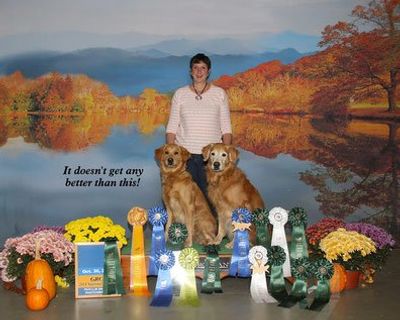 Award Winning Dog Trainers in New Jersey