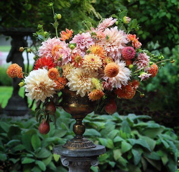 bouquets et composition florale du moment