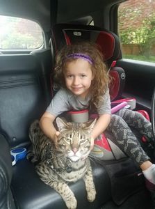 #f1savannahs #f2savannnahs #f3savannahs #f4savannahs #savannahcat #savannahkittensforsale #savannahs