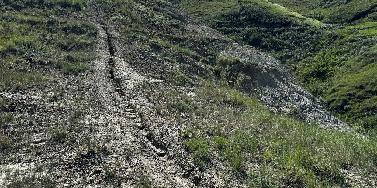 A dry, cracked hillside with sparse grass and rugged terrain.
