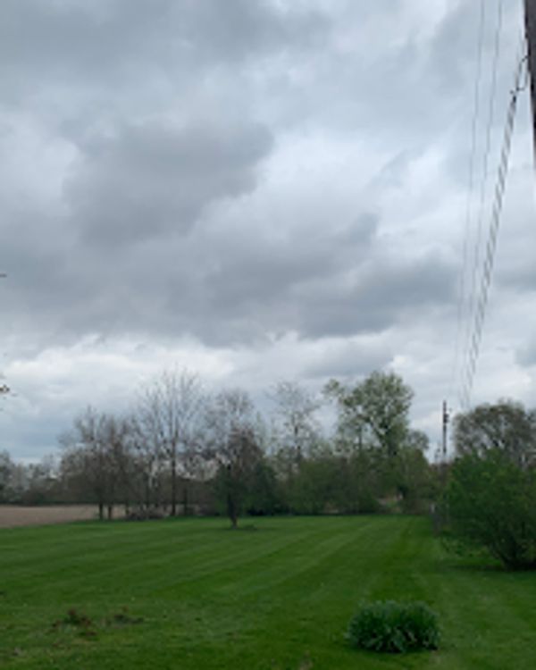 A cloudy sky over a green grassy field with trees and power lines.