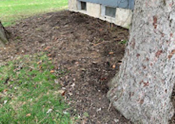 before photo of mulch installation