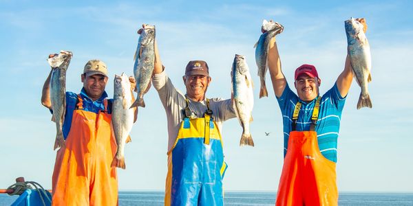 Three fishermen proudly hold up their catch on a boat at sea.