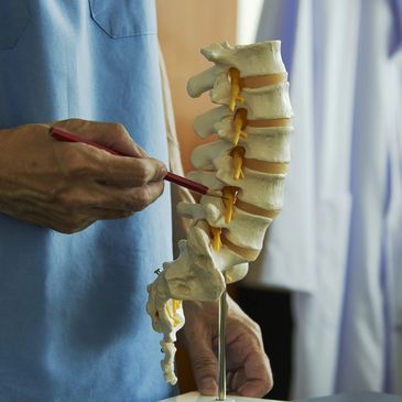 Doctor pointing to spine model.