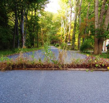 Road Intervention, 2014.