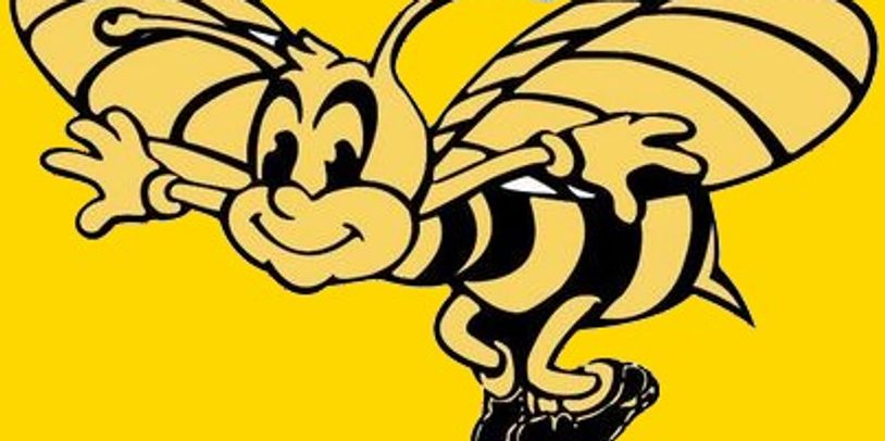 Buzy Bee Board Up & Glass Company Logo.
Black and yellow bee logo.
